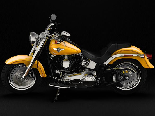 Фото мотоцикла Harley-Davidson Fat Boy